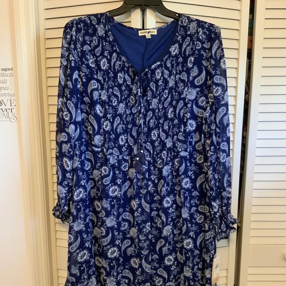 Charmed Hearts Dresses & Skirts - Charmed Hearts Blue Ruffle Dress - 3X